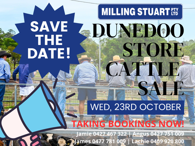 Dunedoo Monthly Store Cattle Sale